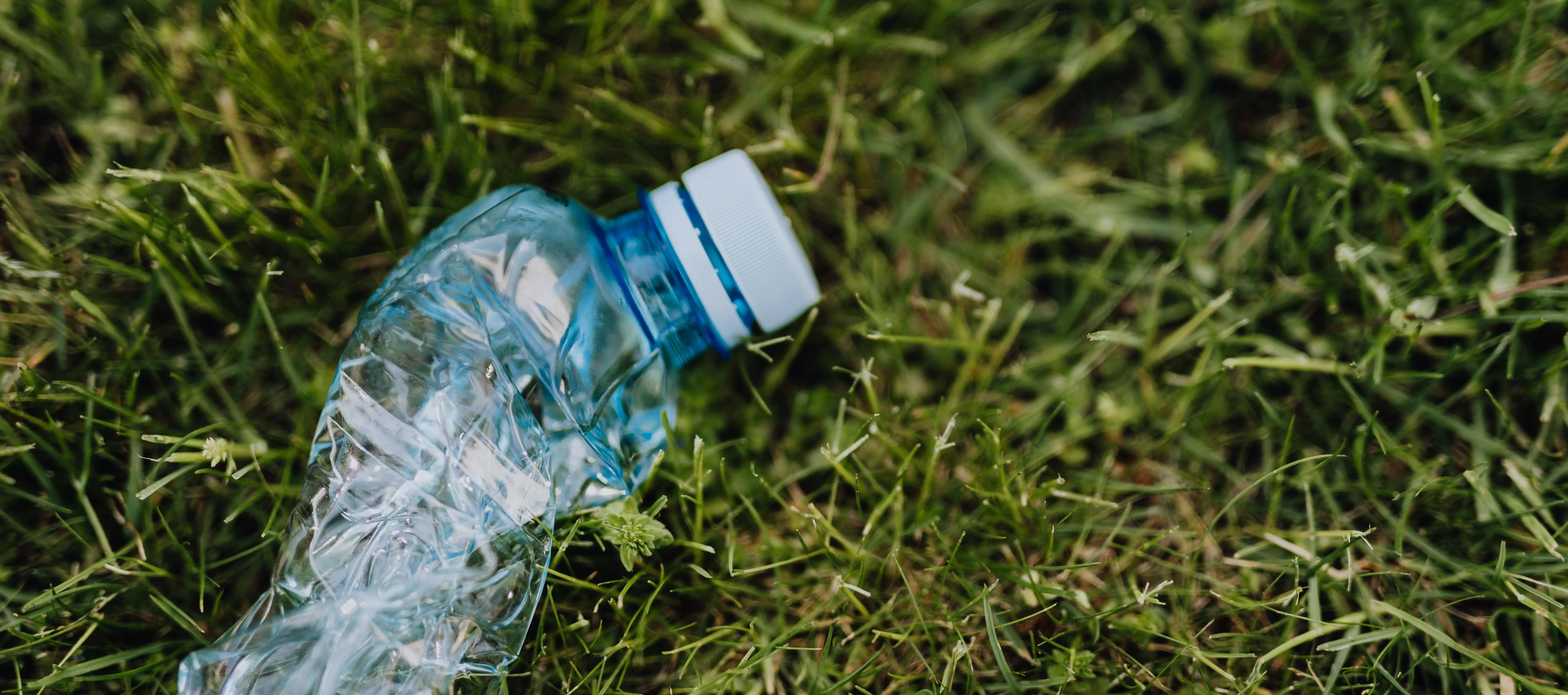 Blaue, zerdrückte Plastikflasche auf grünem Gras