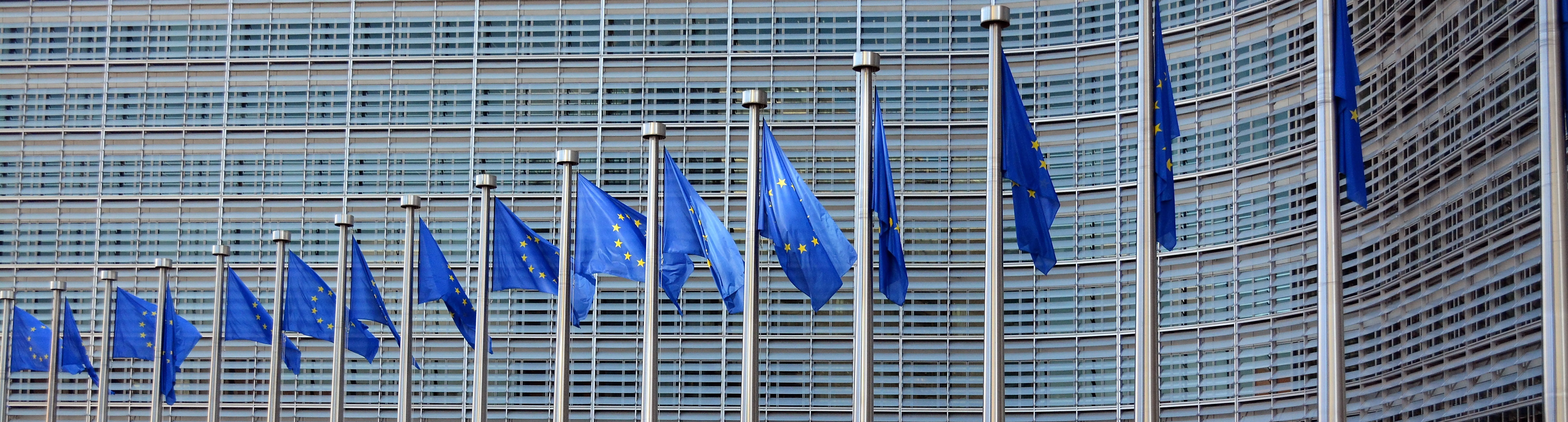 EU Flaggen vor einem Gebäude